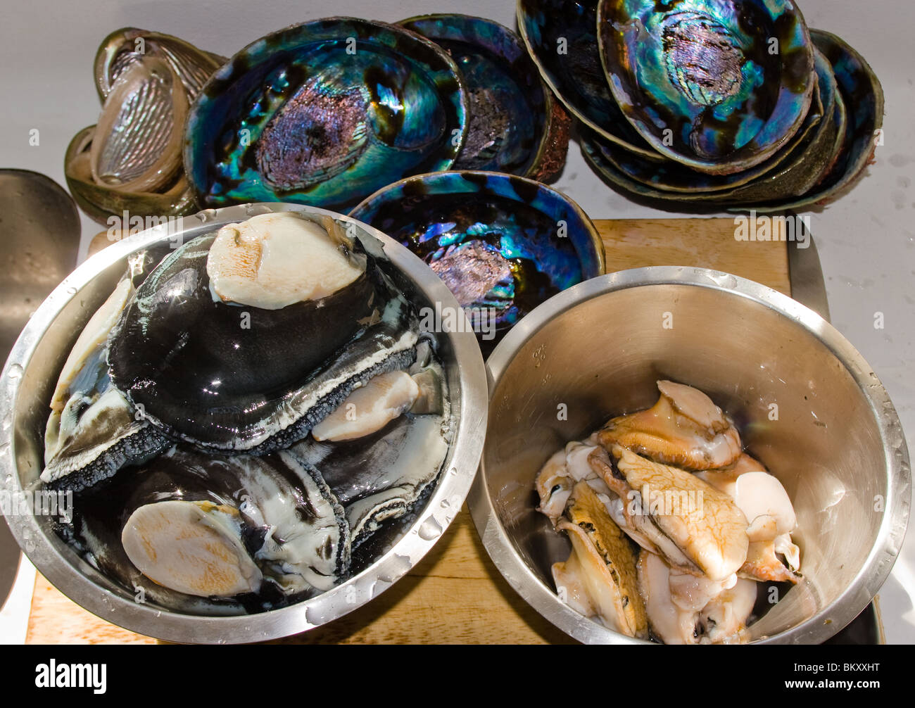 Un regard sur la vie en Nouvelle-Zélande : l'abalone fraîchement rassemblée (alias Paua) : un délice culinaire. Le pied noir et les plus petites espèces de pied jaune sont représentés. Banque D'Images