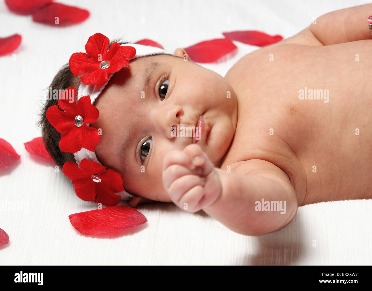 Mexican Naissance Bebe Fille Couchee Sur Blanc Avec Des Petales De Rose Et Un Poing Holding Angry Face Photo Stock Alamy