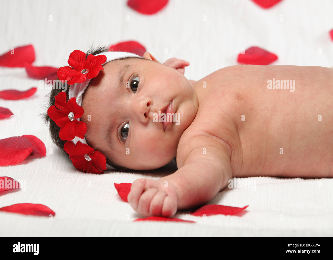 Adorable Petit Bebe Nouveau Ne Hispanique Sur Fond Blanc Avec Des Petales De Rose Photo Stock Alamy