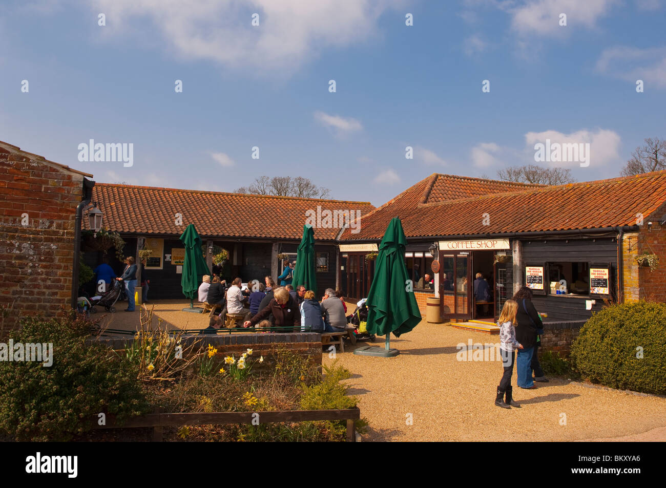 Visiteurs à Wroxham Barns craft centre dans Wroxham , Norfolk , Bretagne , France Banque D'Images