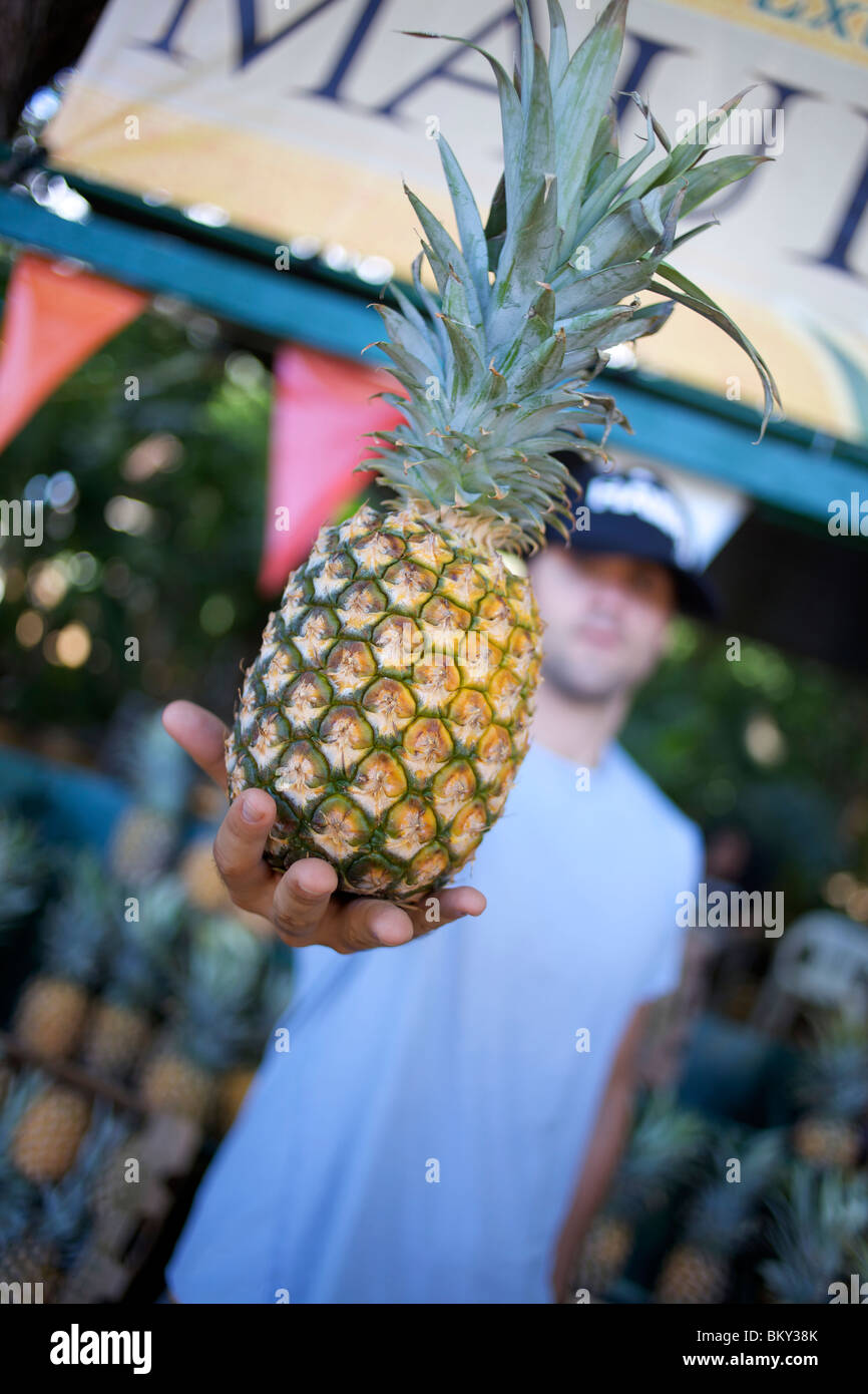 L'homme se tient devant le camion de fruits par la route à Maui, Hawaï et montre un ananas frais. Banque D'Images L'homme se tient devant le camion de fruits par la route à Maui, Hawaï et montre un ananas frais. Banque D'Images