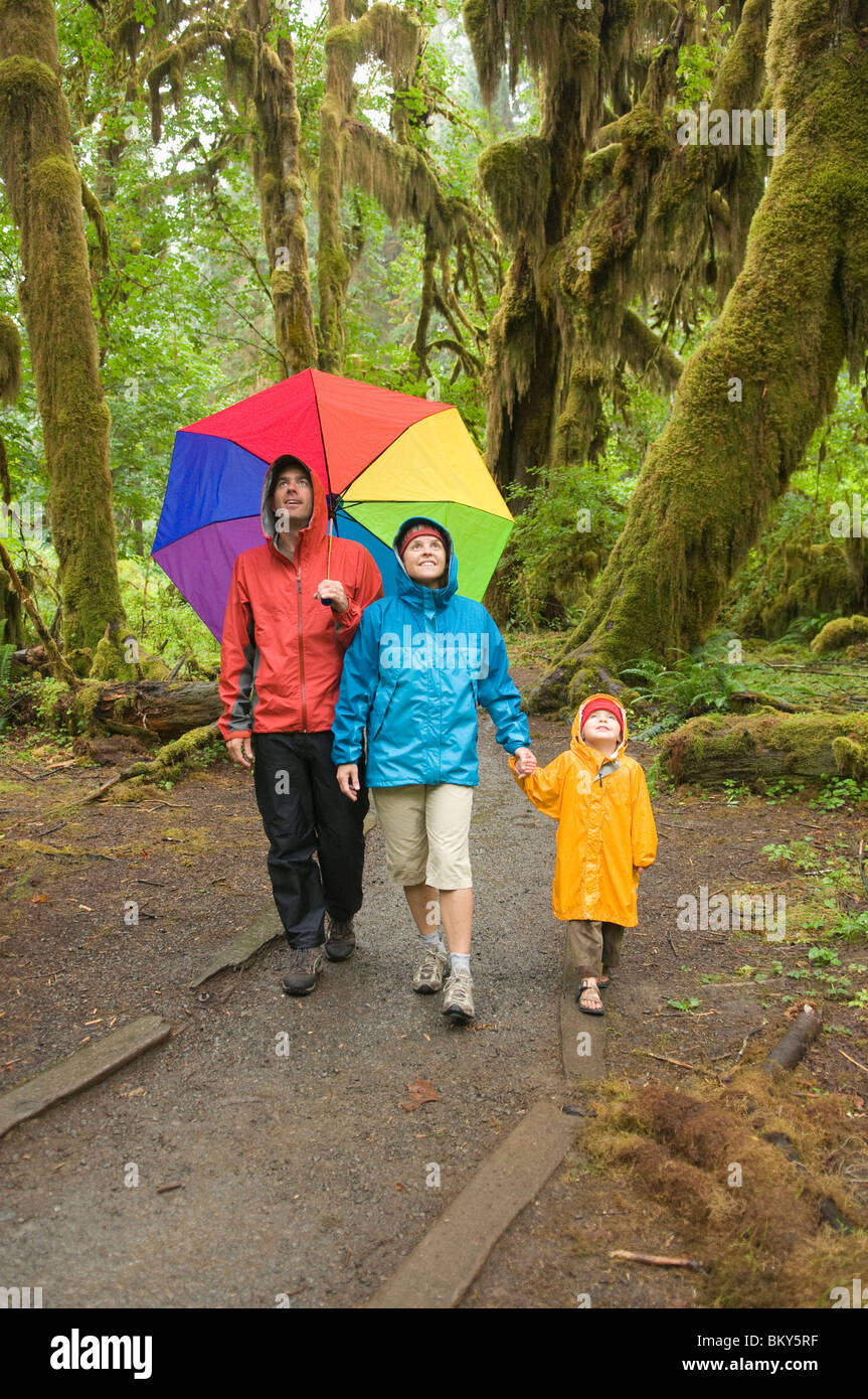 Une famille de la randonnée sous la pluie avec un grand parapluie, Hoh Rainforest, Olympic National Forest, Hoh, Washington. Banque D'Images