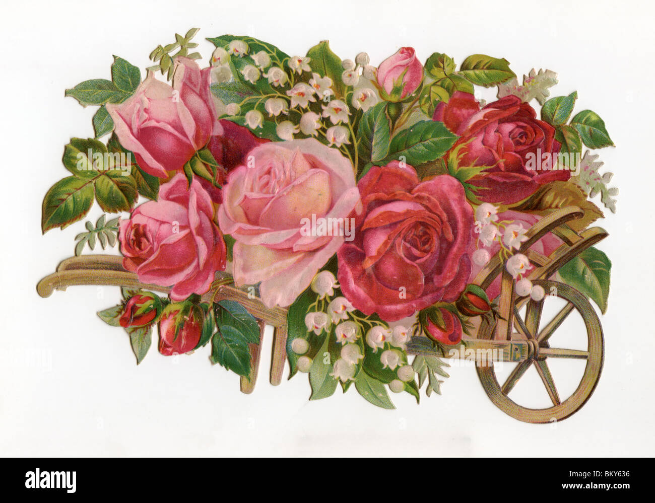 Roses rouges et roses avec le muguet dans une brouette Photo Stock - Alamy