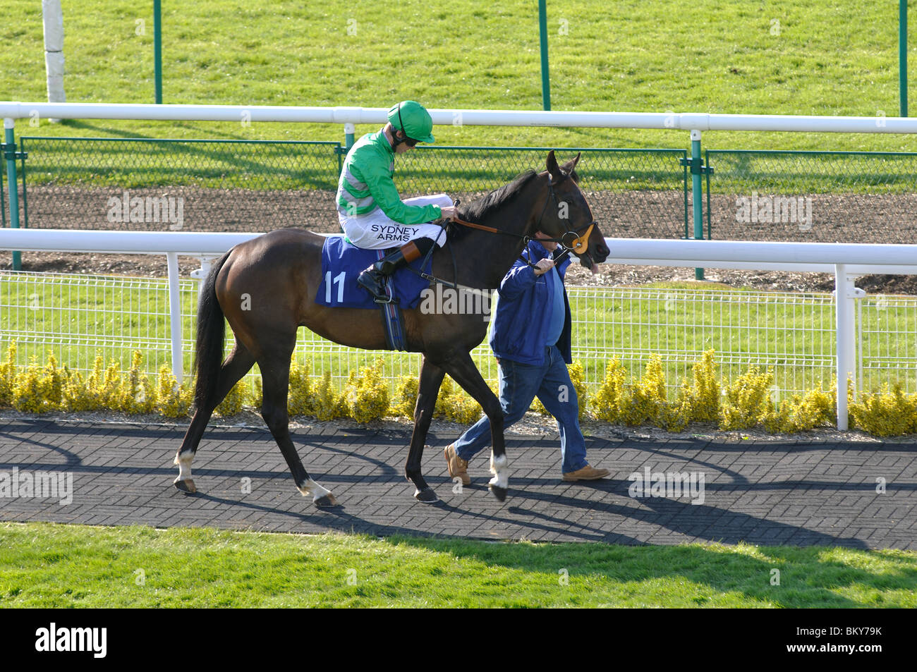 L led de la Parade à Warwick Races, UK Banque D'Images