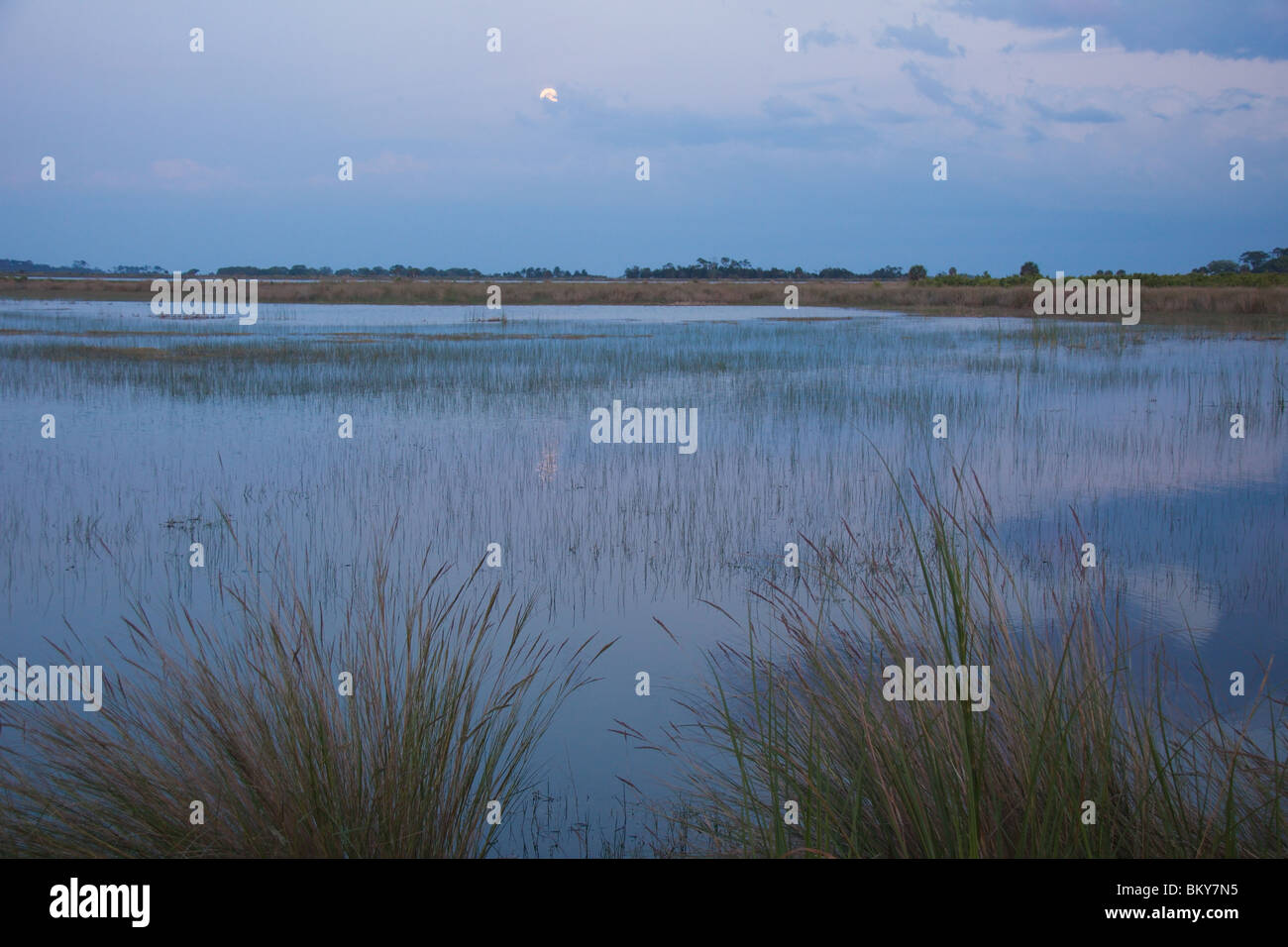 Full Moon Rising, St Marks Florida USA Banque D'Images