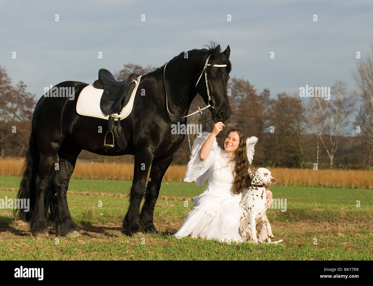 Angel, cheval frison et dalmate Banque D'Images