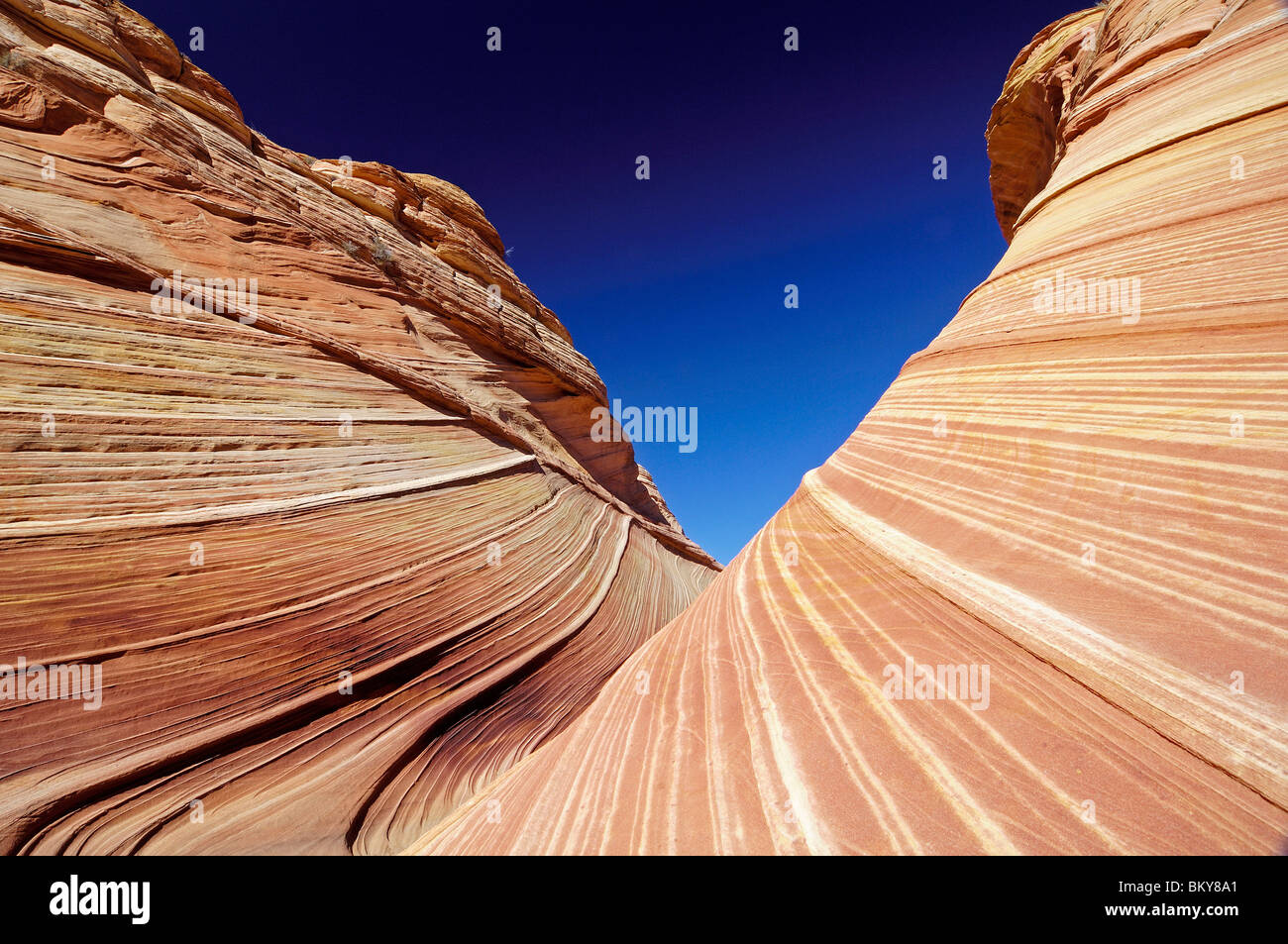 La falaise de grès Vermillion, dans la lumière du soleil, Coyote Buttes, Arizona, en Amérique du Nord, Amerca Banque D'Images