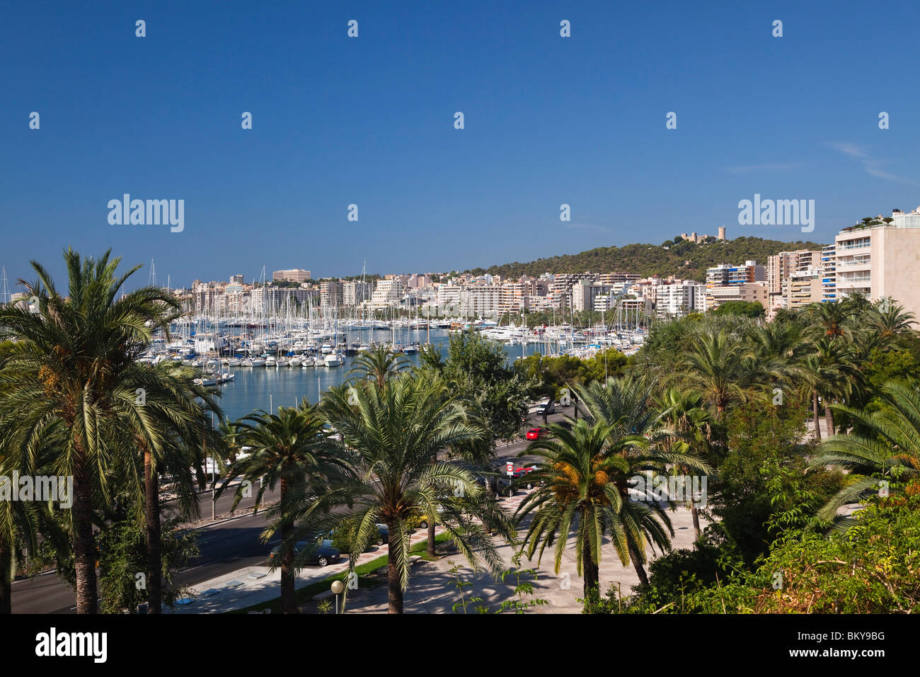 Port de plaisance de Palma avec le château de Bellver dans la lumière du soleil, l'Avinguda Gabriel Roca, Majorque, Îles Baléares, Mer Méditerranée, Espagne Banque D'Images