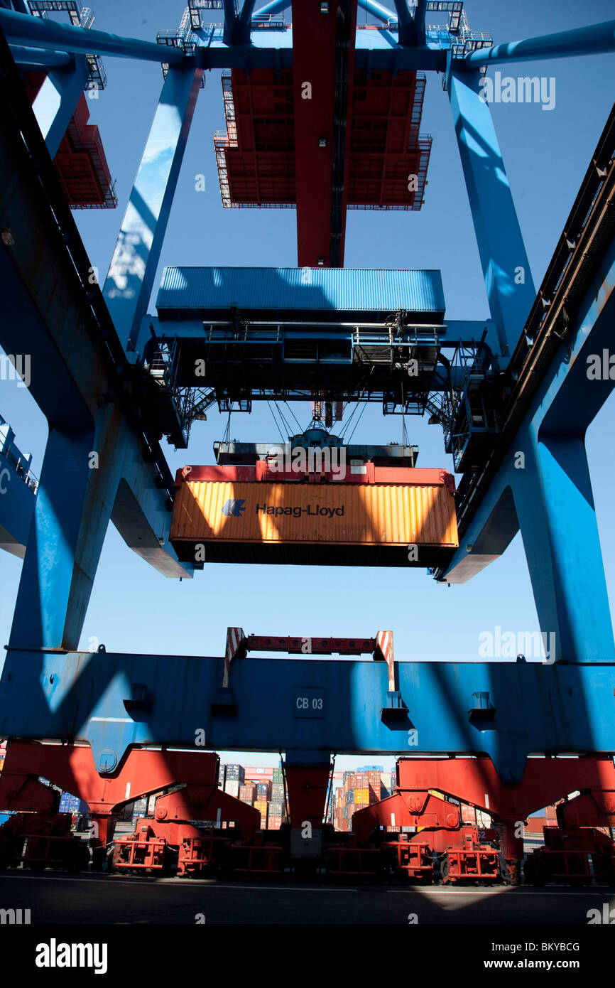 Grue à portique à conteneurs, le port de Hambourg, Allemagne Banque D'Images