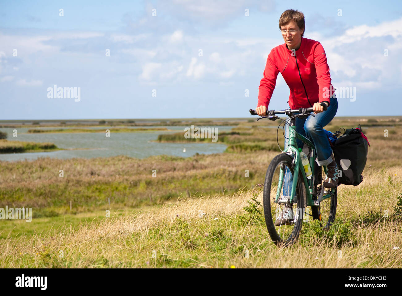 Randonnée à vélo, femme Beltringharder Koog, Nordstrand, Schleswig-Holstein, Allemagne Banque D'Images
