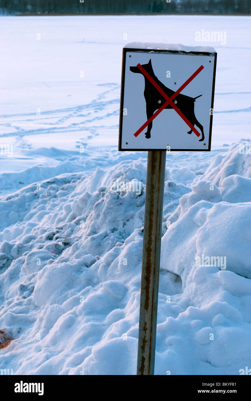 Interdit aux chiens signer dans la neige Banque D'Images