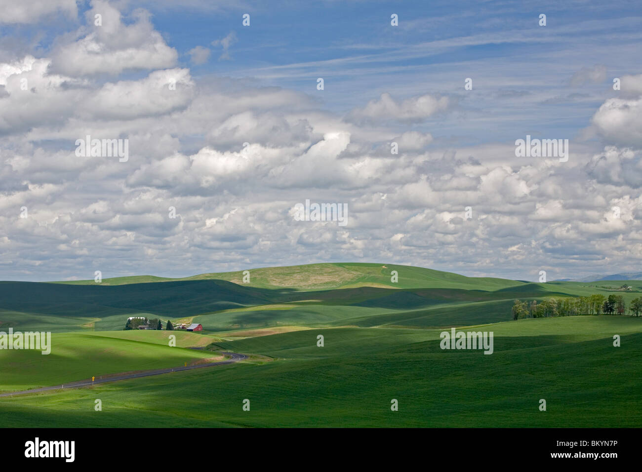Whitman Comté, WA Curving road mène à une ferme avec grange rouge niché dans les collines vertes de la Palouse Banque D'Images