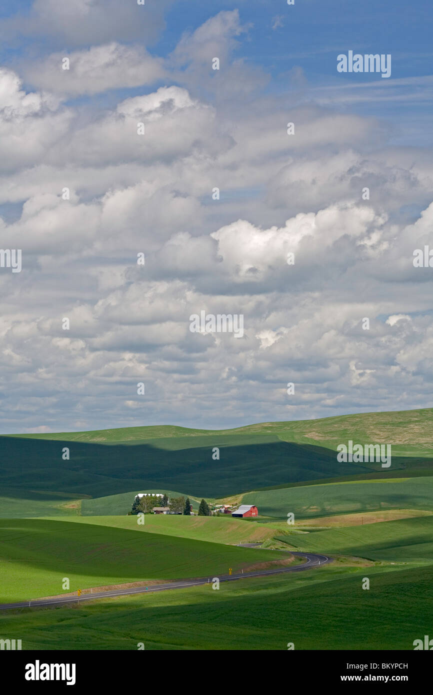 Whitman Comté, WA Curving road mène à une ferme nichée dans les collines vertes de la Palouse Banque D'Images