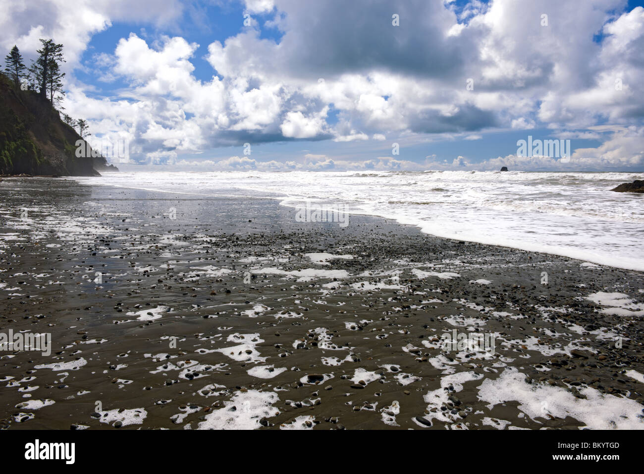 Écume de mer sur Washington's Ruby Beach dans le parc national Olympic. Banque D'Images