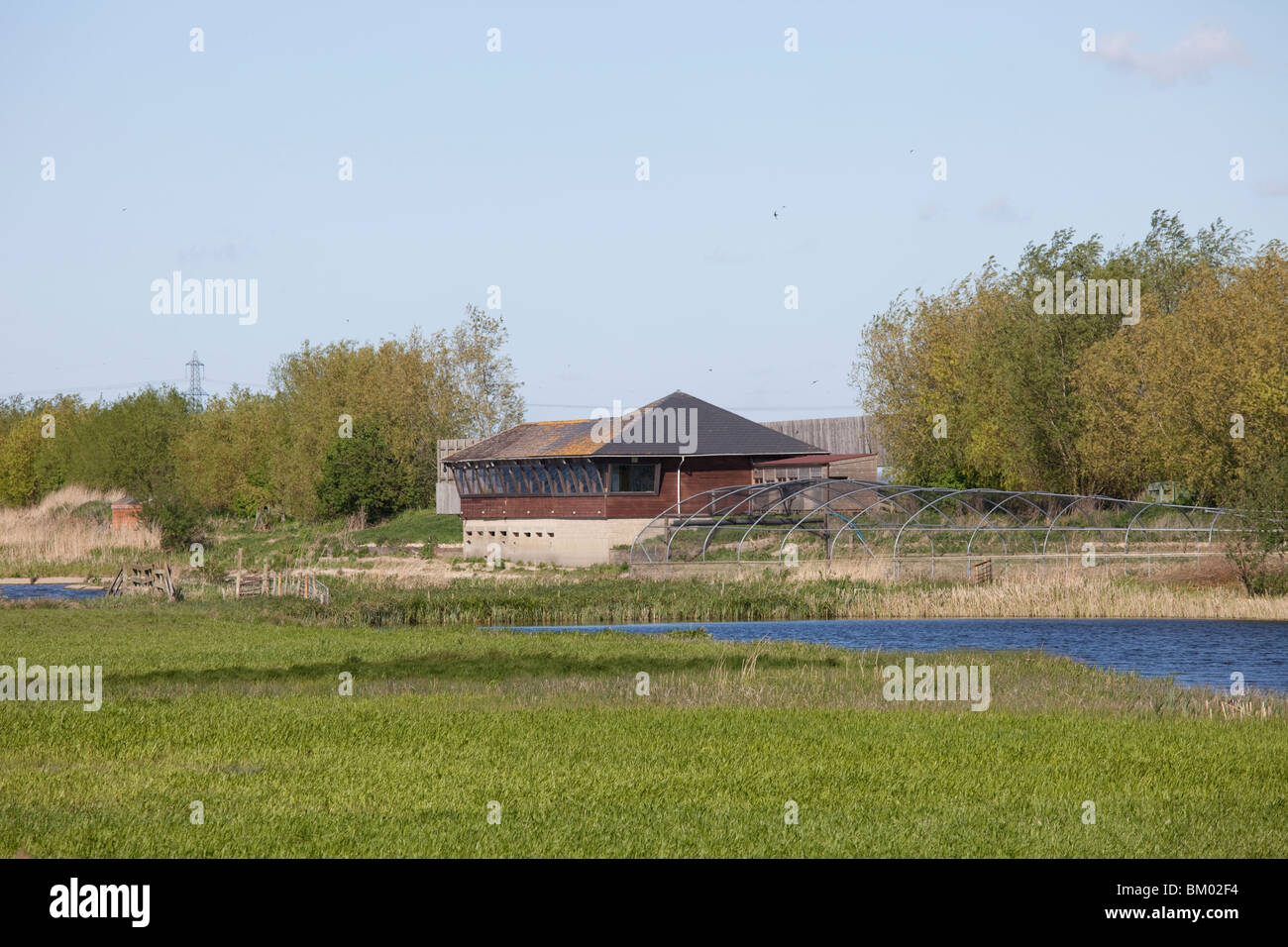 Nouvel observatoire d'oiseaux et duck decoy Wildfowl & Wetlands Trust Welney Norfolk UK Banque D'Images
