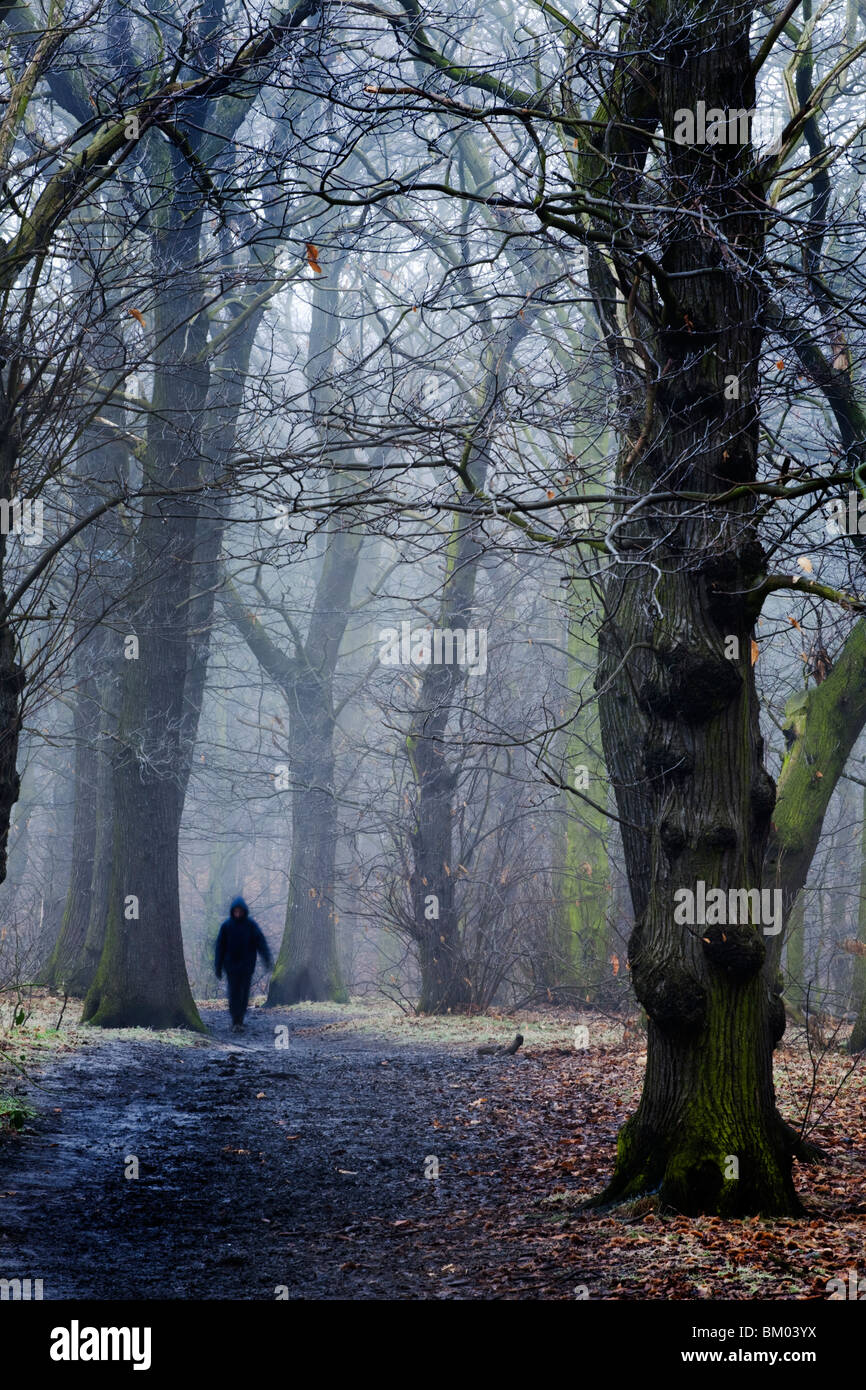 Jeune enfant marcher à travers bois seule avec de la brume en hiver Banque D'Images