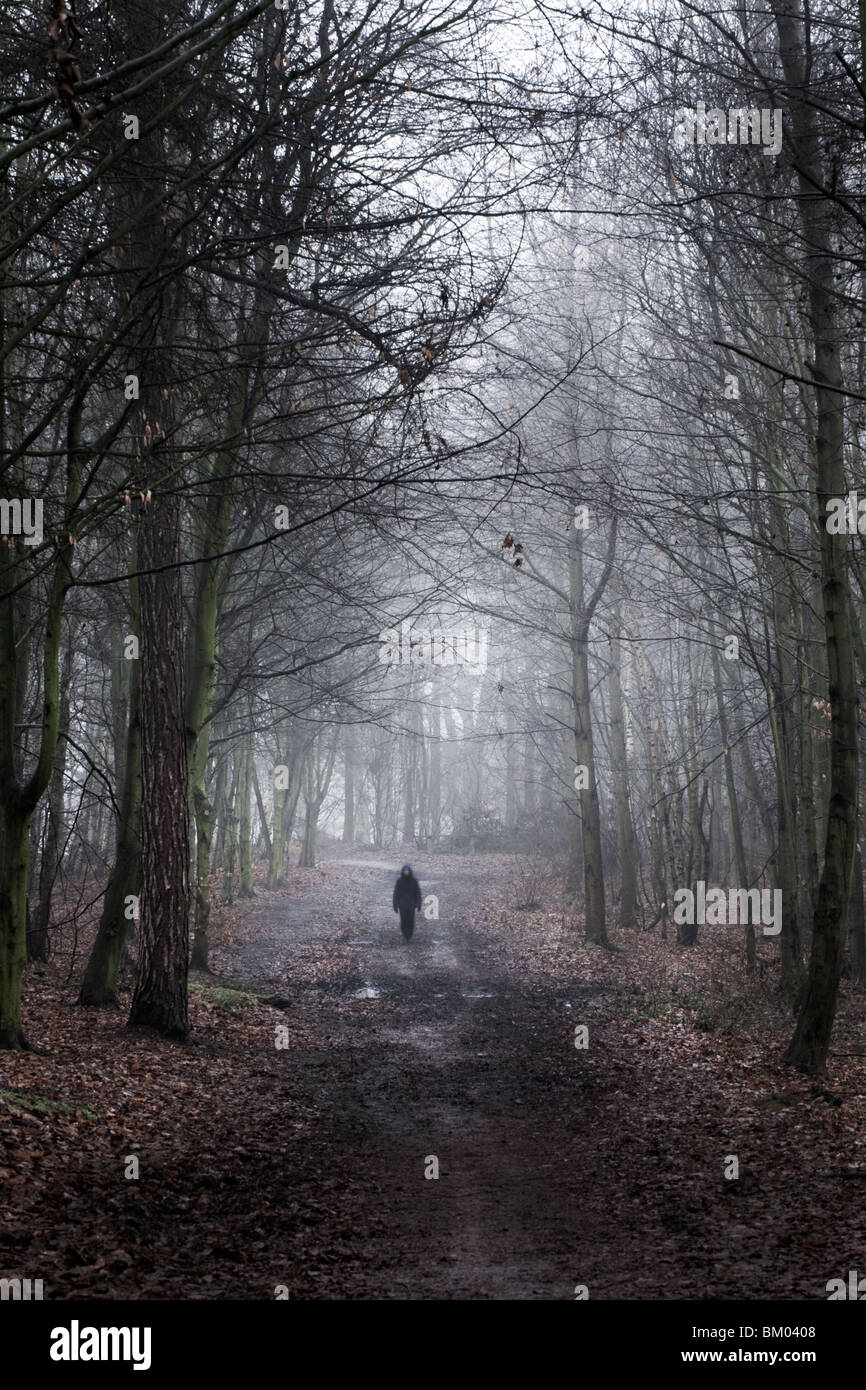 Petite figure dans les bois en hiver Banque D'Images