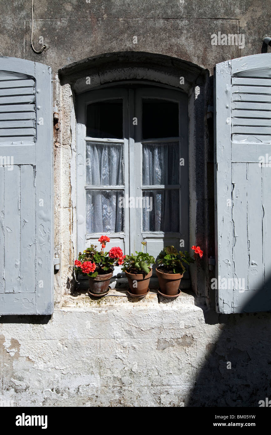 Pots de fleurs sur une fenêtre, ville de Baden, Departament de Morbihan, Bretagne, France Banque D'Images