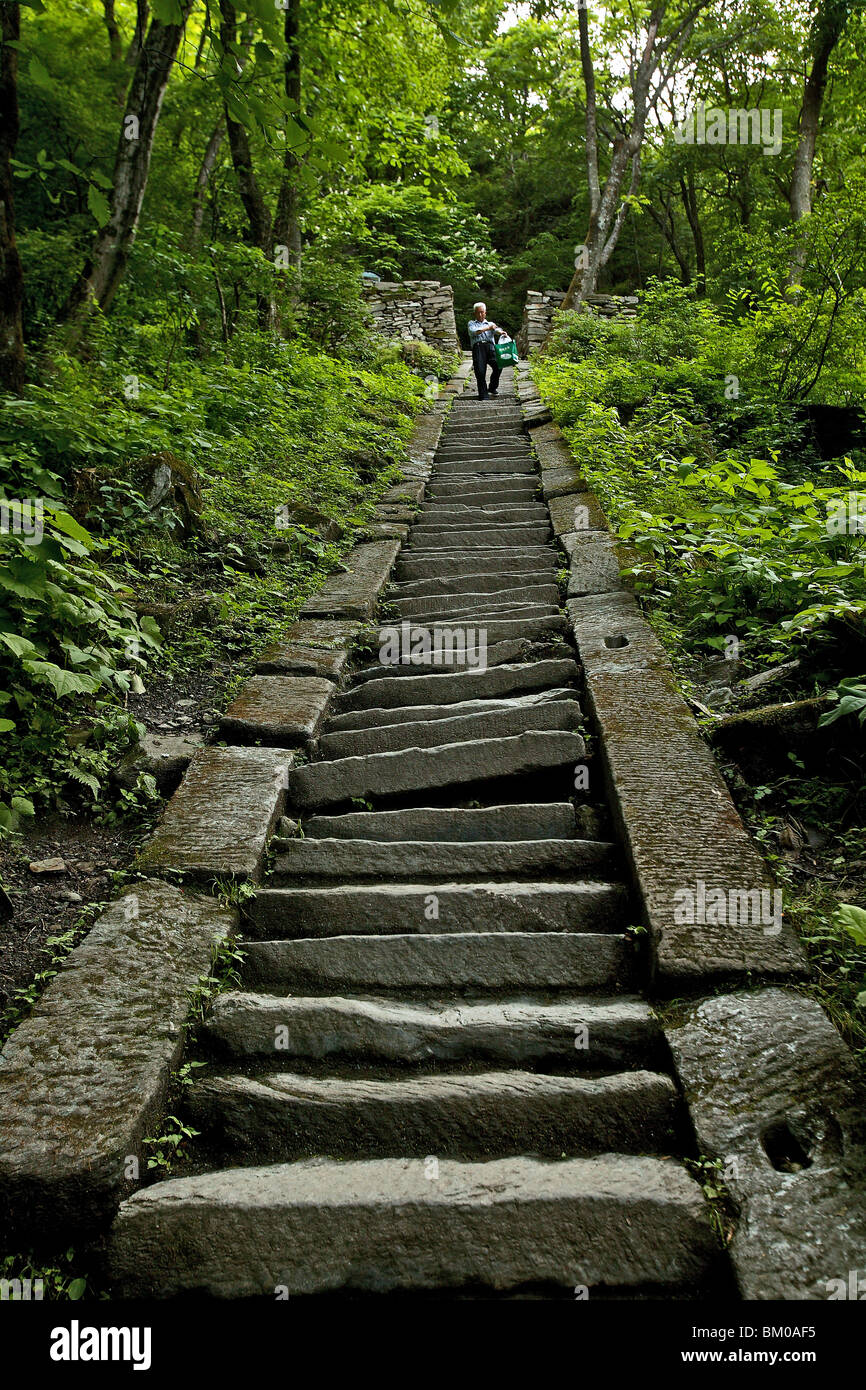 Chemin de pèlerinage le long des étapes pour la période de pointe, 1613 mètres de haut, Wudang Shan, la montagne taoïste, province de Hubei, Wudangshan, le Mont Wu Banque D'Images