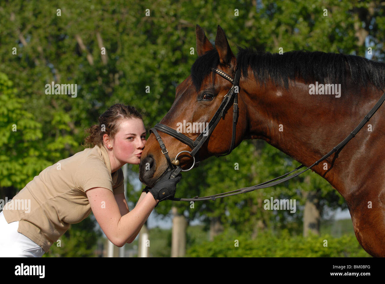 Femme Se Fais Baiser Par Un Cheval Femme baiser par un cheval Banque de photographies et d’images à haute