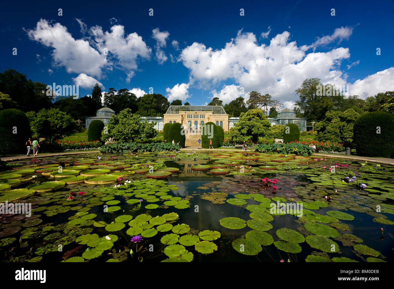 Jardin botanique et zoologique Wilhelma, le jardin mauresque avec le plus grand des nénuphars dans le monde, Stuttgart, Baden-Wuerttemb Banque D'Images