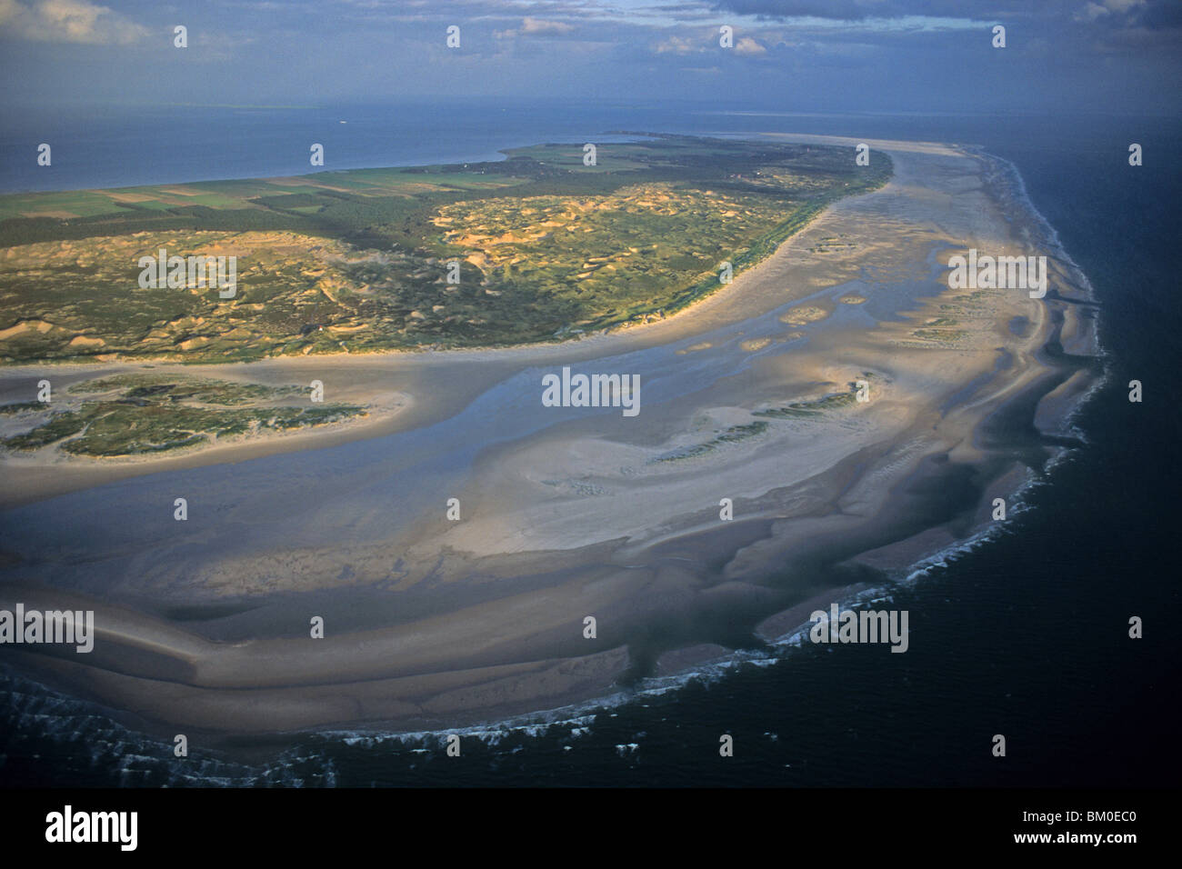 Photo aérienne de Amrum, une des îles frisonnes du Nord de la côte allemande de la mer du Nord dans l'État fédéral de Schleswig-H Banque D'Images