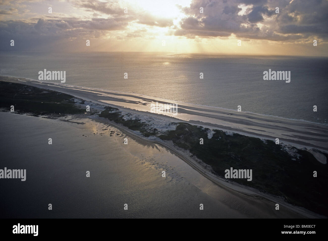 Photo aérienne de Amrum, une des îles frisonnes du Nord de la côte allemande de la mer du Nord dans l'État fédéral de Schleswig-H Banque D'Images