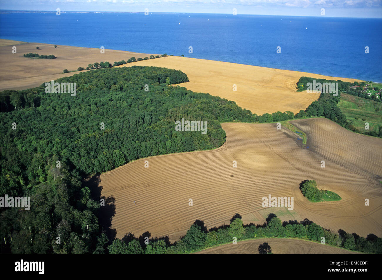 Photo aérienne, baie de Kiel, côte de la mer Baltique, les champs labourés, Schleswig Holstein, Allemagne du nord Banque D'Images