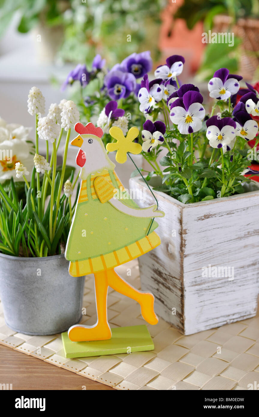 Pansy cornu (viola cornuta) et muscaris d'Arménie (Muscari armeniacum 'white magic') avec décoration de Pâques Banque D'Images