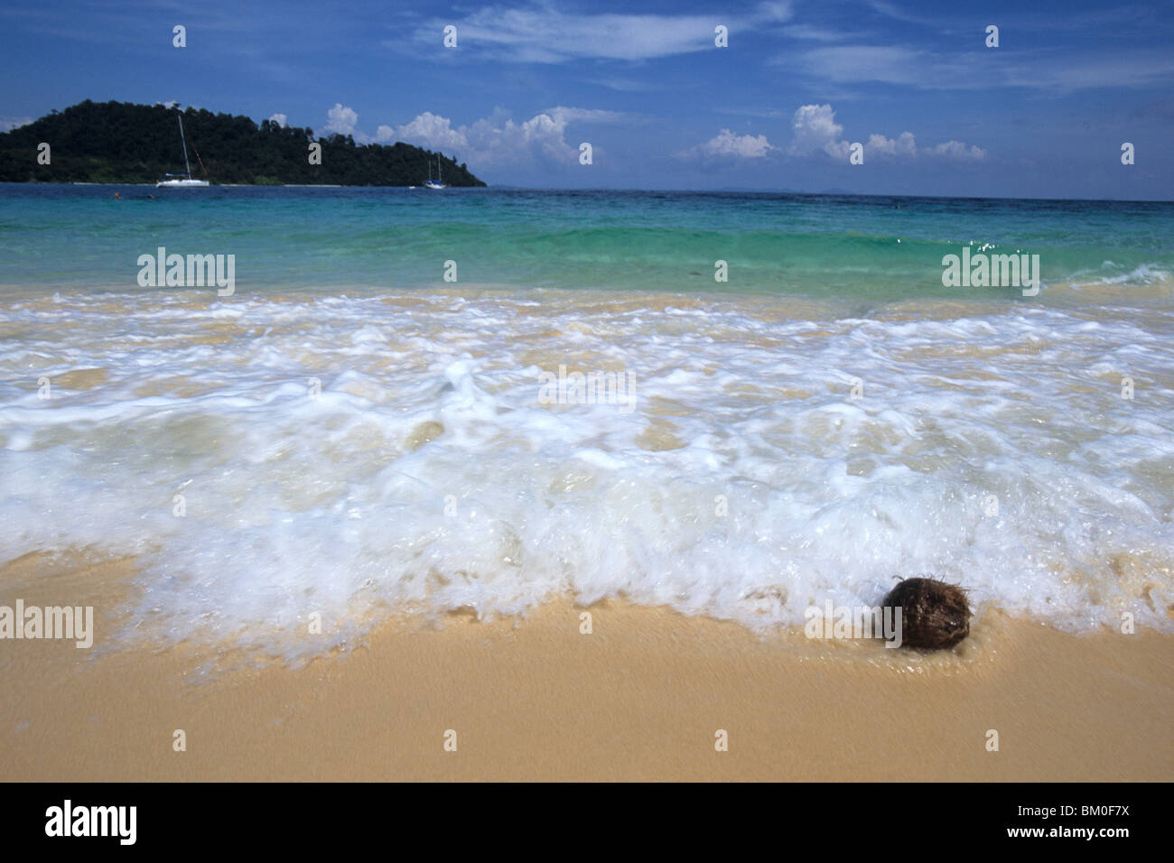 Noix de coco sur Ko Khai Nok Beach, Ko Khai Nok, Thaïlande Banque D'Images