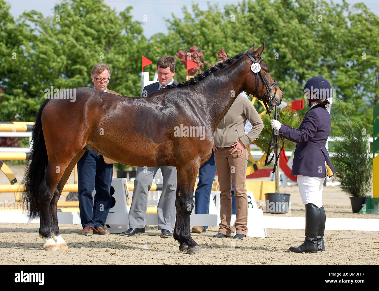 tournoi Banque D'Images