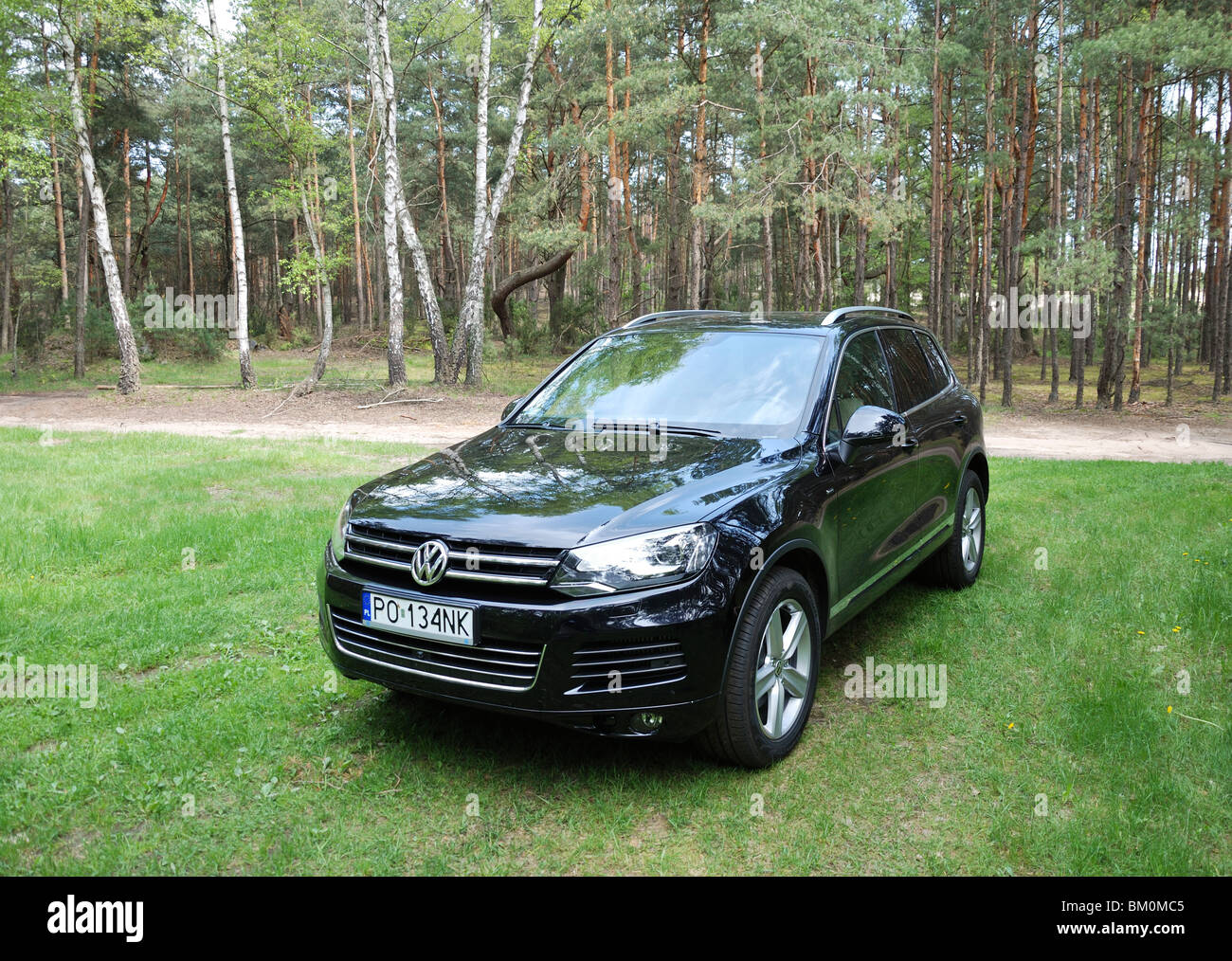 Volkswagen Touareg 3.0 V6 TDI BlueMotion - MA 2010 (MK2) - bleu métallique foncé - Français populaires grand SUV - en forêt, sur l'herbe Banque D'Images