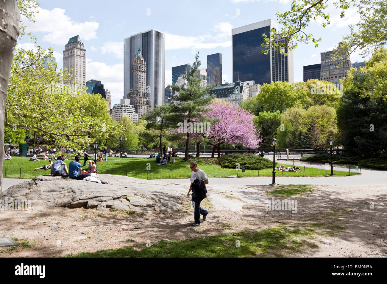 Les gens profiter du soleil arbres herbe fleurs de cerisier & vue incomparable de Midtown Manhattan skyline un jour de printemps Central Park Banque D'Images