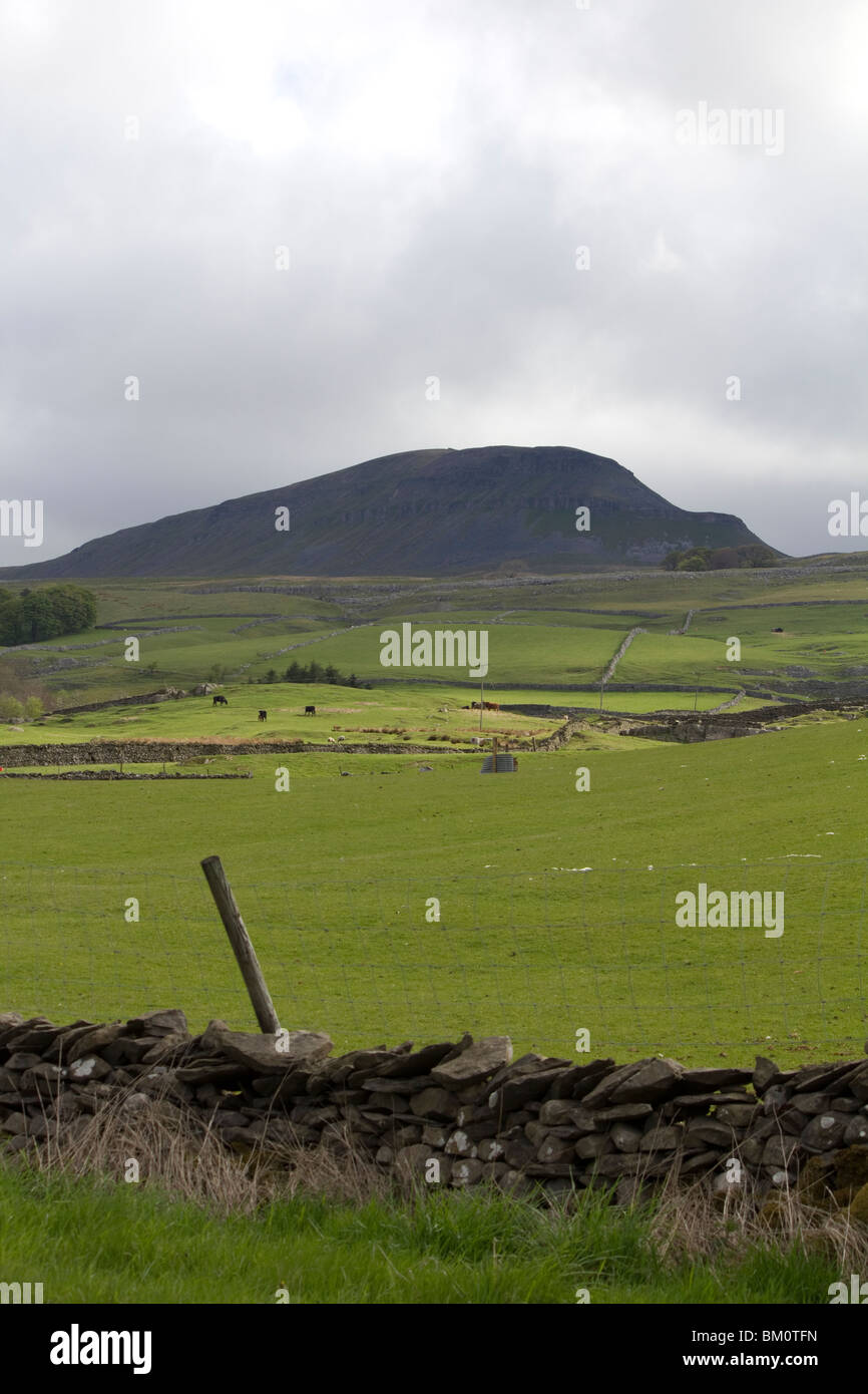 Pen Y Gent Hill Angleterre Yorkshire Dales Banque D'Images