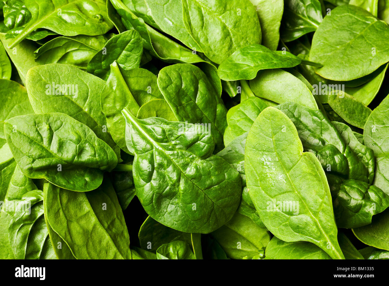 Les feuilles d'épinards frais ou salade background Banque D'Images