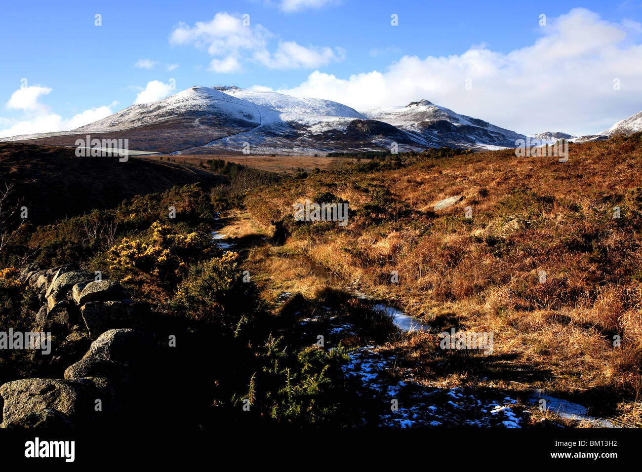 Les montagnes de Mourne et Neige sur Slieve Binnian, vu de Spence's Mountain Banque D'Images