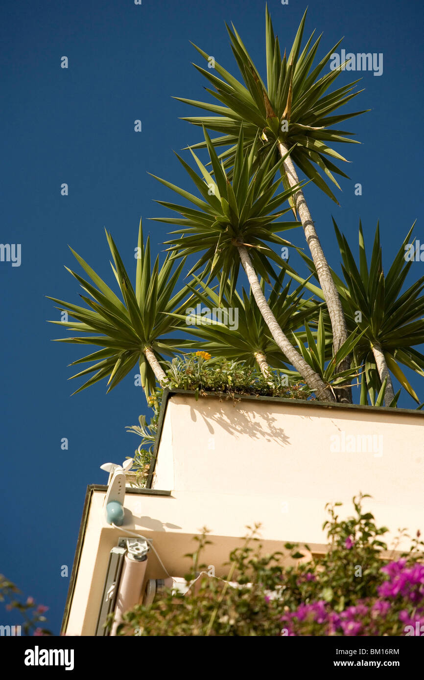 Rapprochement de Borgio Verezzi, Ligury, Italie, Europe Banque D'Images