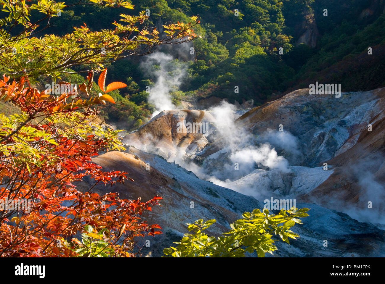 Les fumerolles de vapeur dans la zone géothermique Jigokudani, Noboribetsu Onsen, le Parc National de Shikotsu-Toya, Hokkaido, Japon Banque D'Images