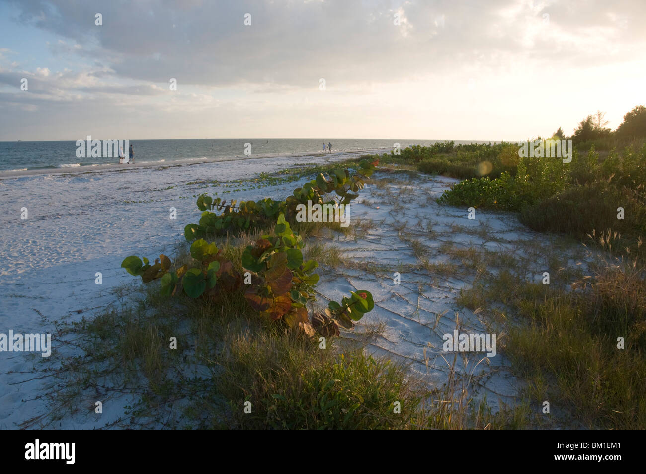 Coucher du soleil sur la plage, l'île de Sanibel, la Côte du Golfe, Floride, États-Unis d'Amérique, Amérique du Nord Banque D'Images