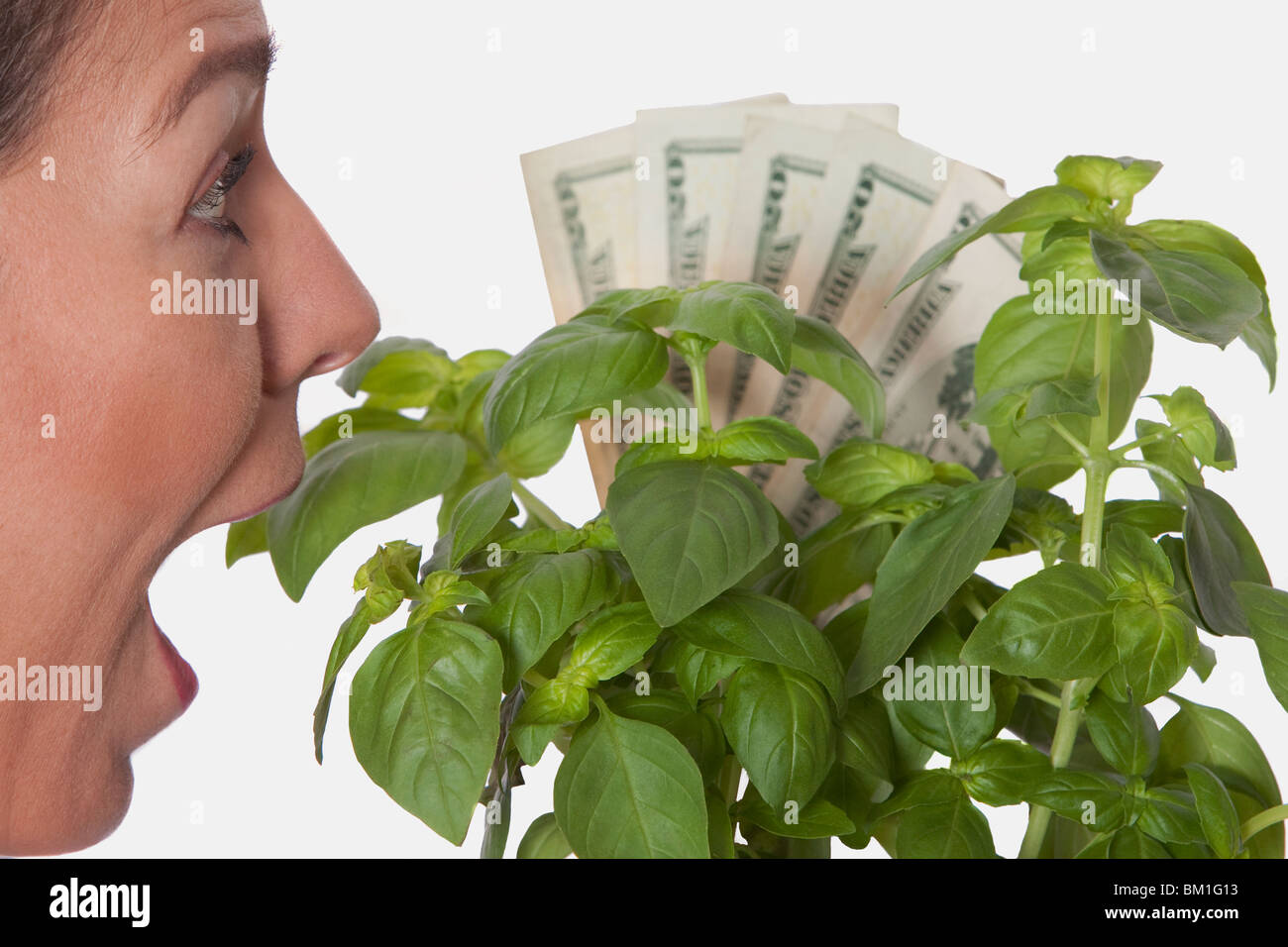 Femme à la choqué avec de l'argent sur une plante en croissance Banque D'Images