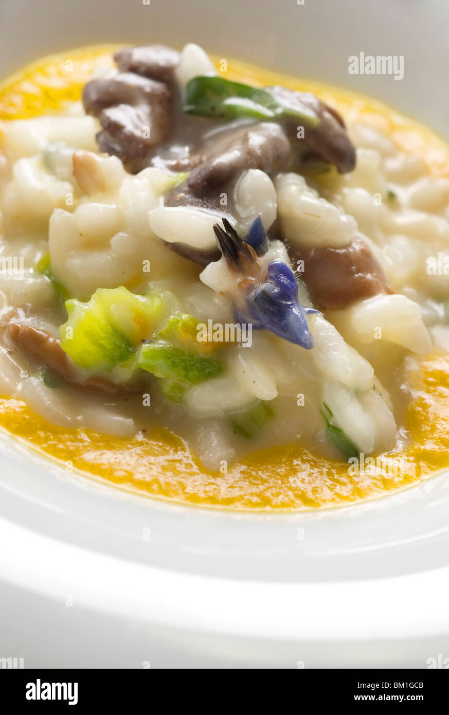 Risotto aux champignons, la citrouille et sa fleur, Fabio Barbaglini chef, Italie, Europe Banque D'Images