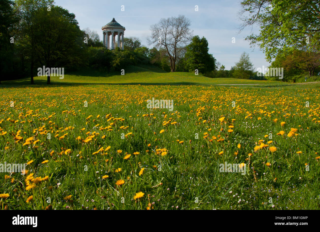 Jardin anglais à Munich au printemps. L'Allemagne. Banque D'Images