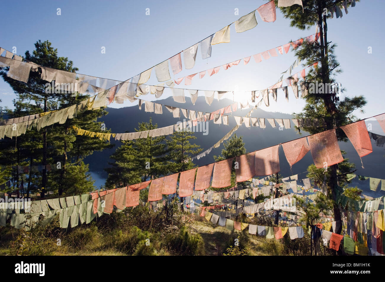 Drapeaux de prière au-dessus de Thimphu, Bhoutan, Asie Banque D'Images Drapeaux de prière au-dessus de Thimphu, Bhoutan, Asie Banque D'Images