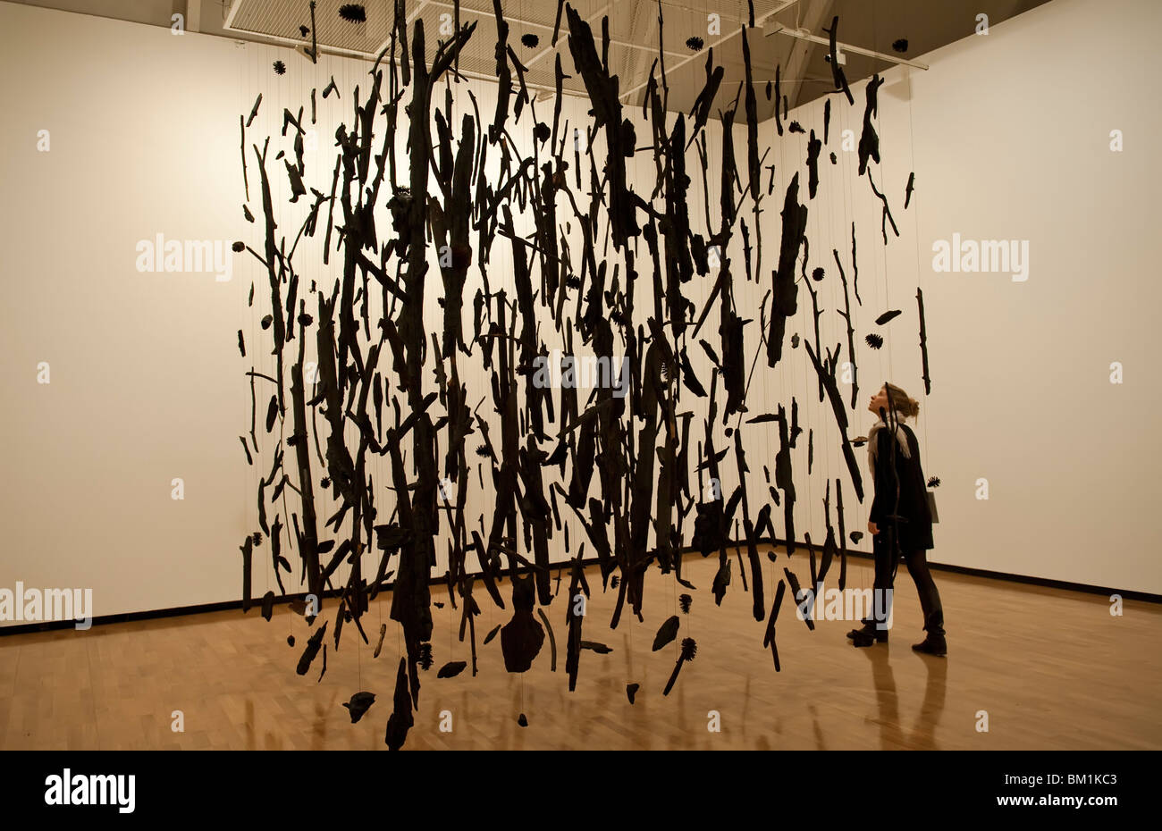 Cornelia Parker charbon installation 'Coeur de l'Obscurité" à la Royal Academy of Arts de Londres Banque D'Images