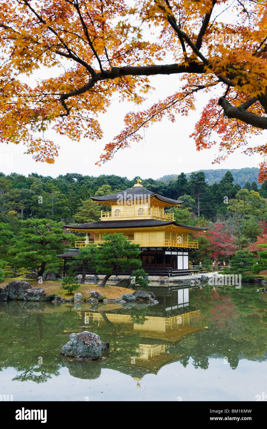 La couleur en automne les feuilles, Temple d'or, Kinkaku ji (Kinkakuji), datant de 1397, Kyoto, Japon, Asie Banque D'Images