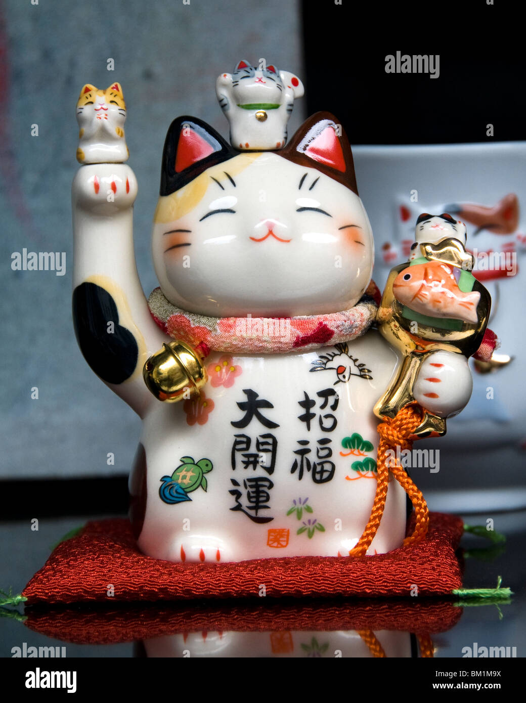 Bruxelles Belgique China town cat porcelaine chinoise Banque D'Images