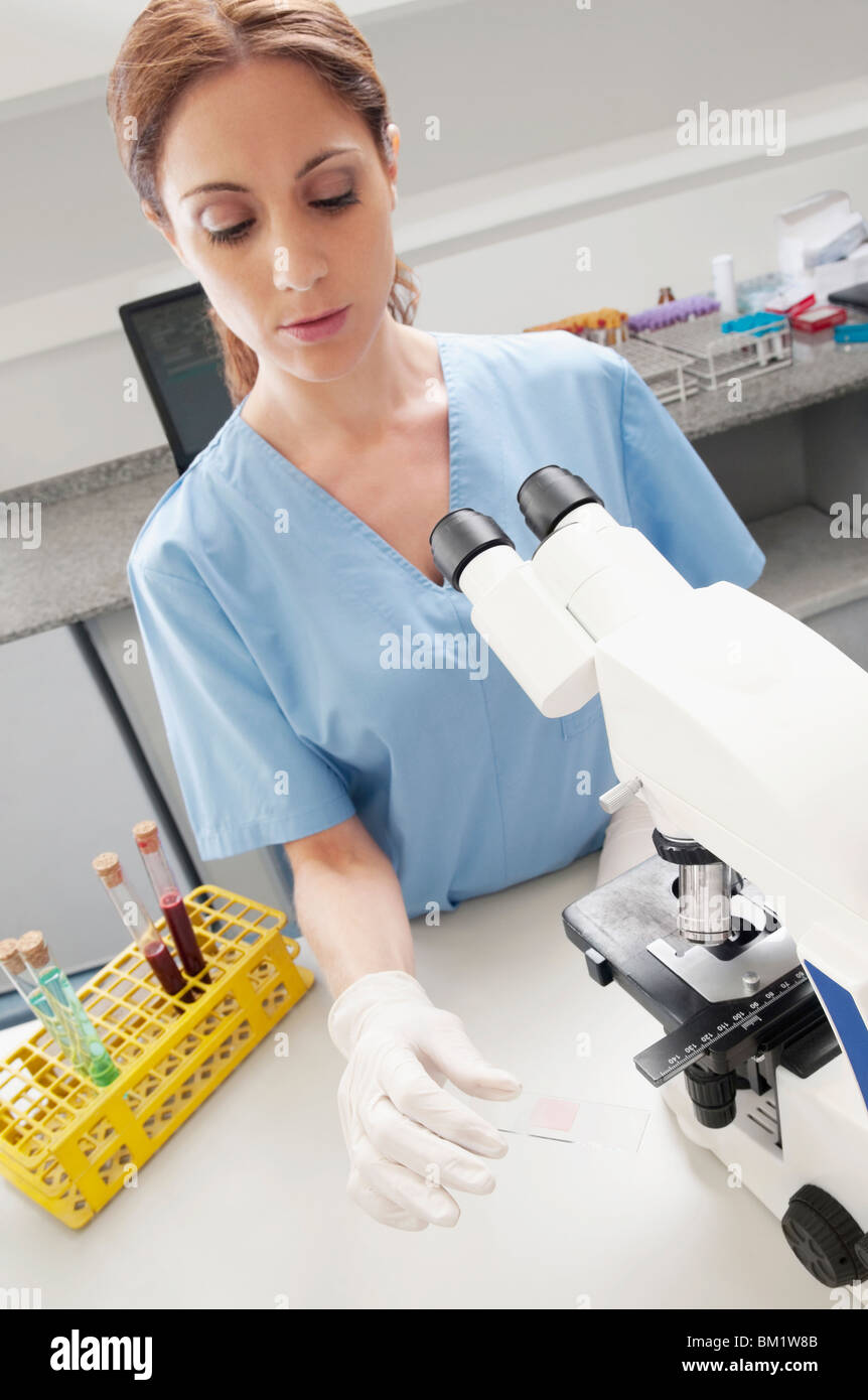Technicien de laboratoire femelle l'analyse d'un échantillon dans un laboratoire Banque D'Images