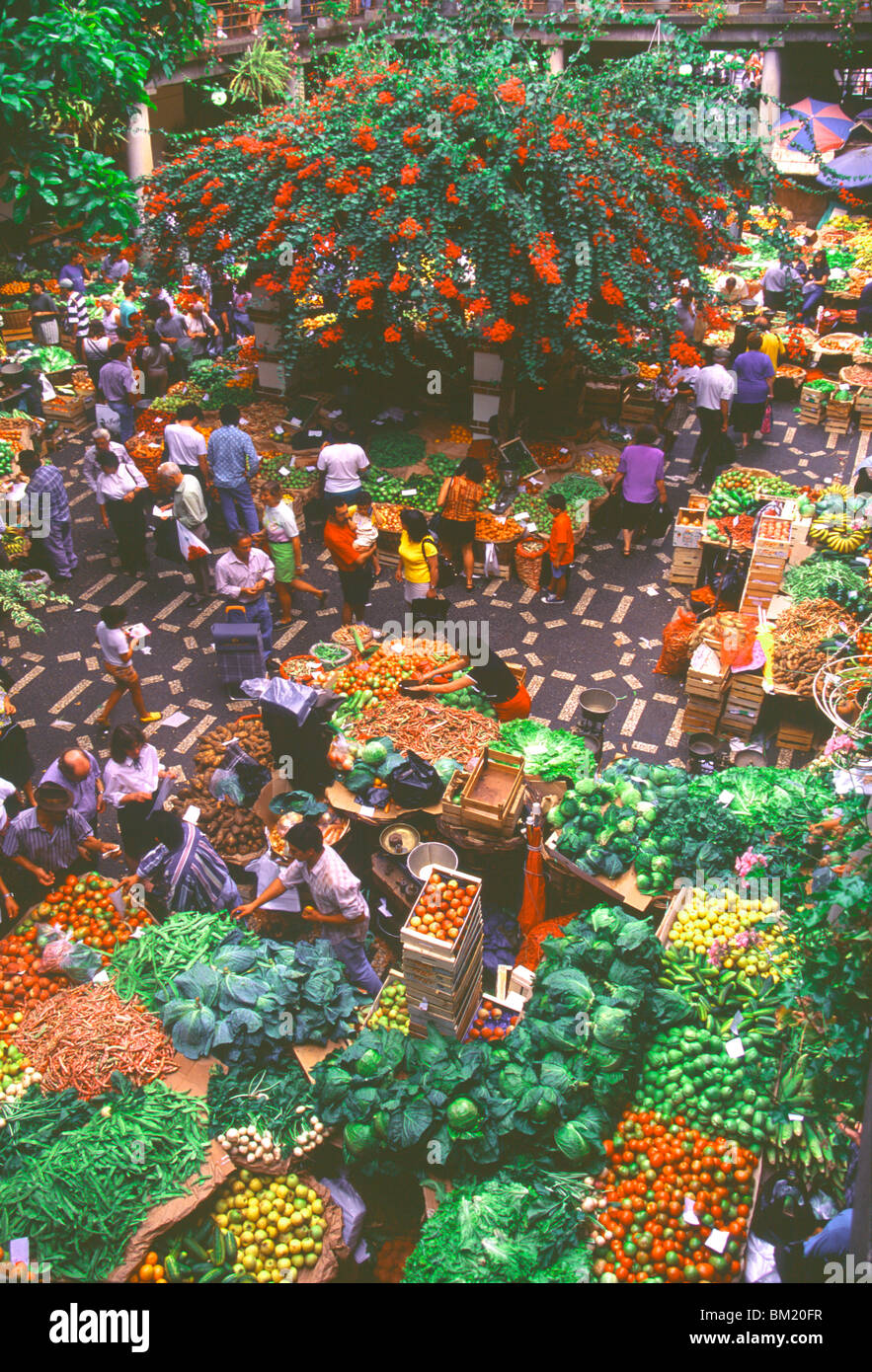 Vue sur le marché de fruits et légumes, Funchal, Madeira, Portugal, Europe Banque D'Images
