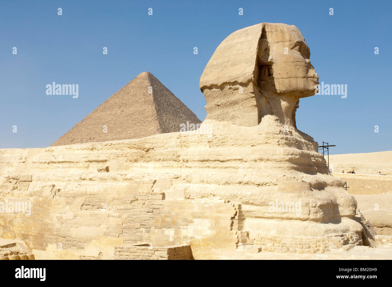 Sphinx, Gizeh, UNESCO World Heritage Site, près du Caire, Egypte, Afrique du Nord, Afrique Banque D'Images