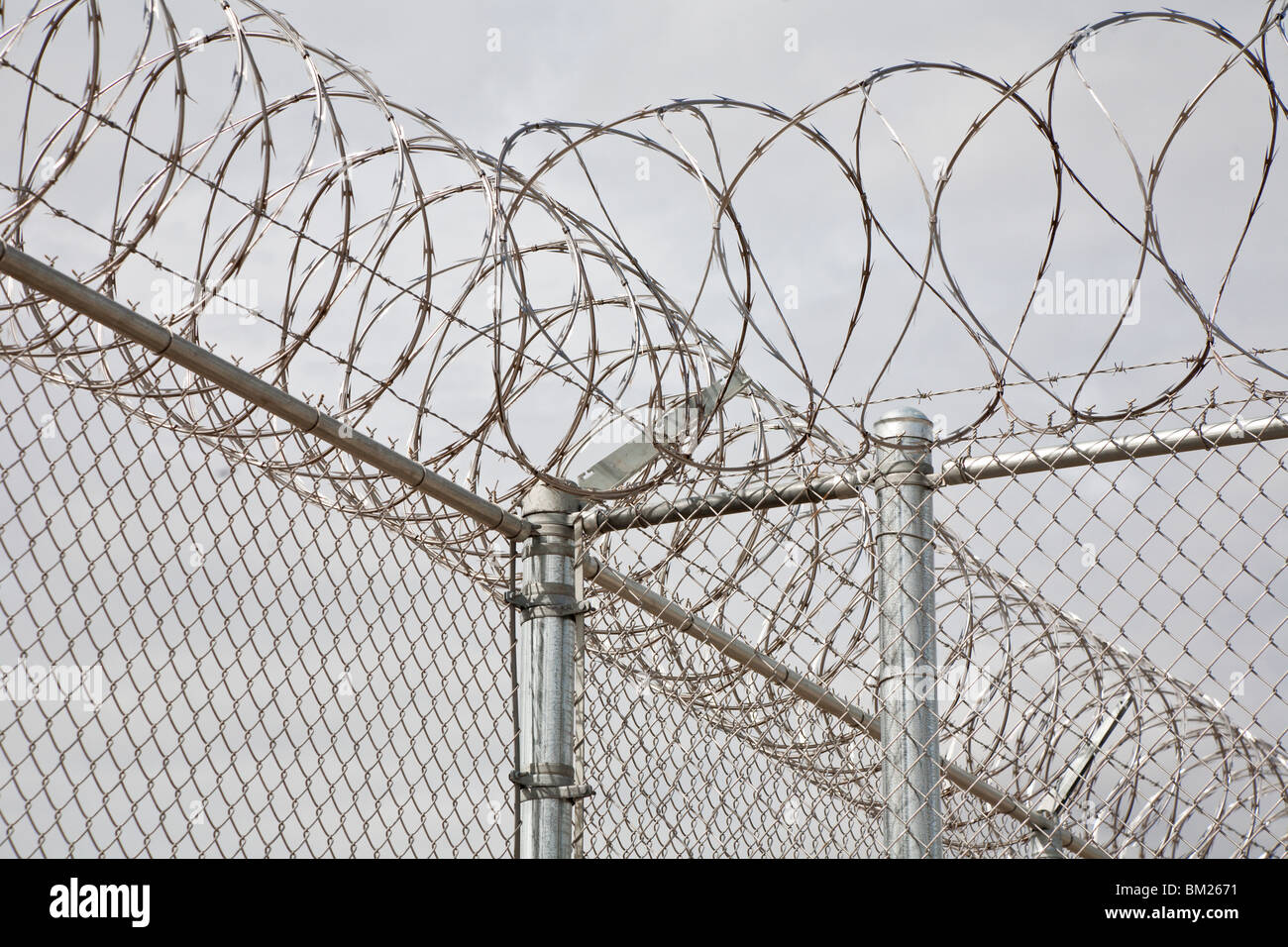Floride - Février 2009 - acier inoxydable barbelés spirale autour de grillage à l'établissement correctionnel à Central Florida Banque D'Images